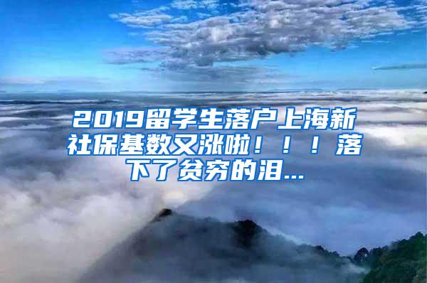 引进应届高校毕业生用人单位资质可以申报啦