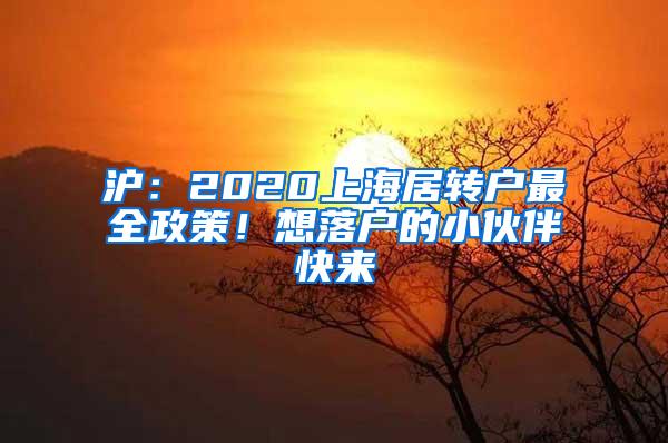 为什么我劝你一定要回国？这一届留学生正在被哄抢！附：秋招汇总