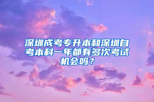 AP考试取消，留学更加坎坷，孩子将从国内卷到国外