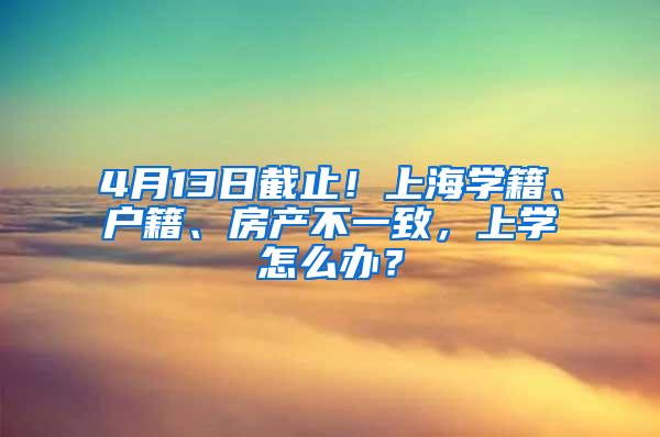 “没想到这么快！”普陀人才落户受理提速