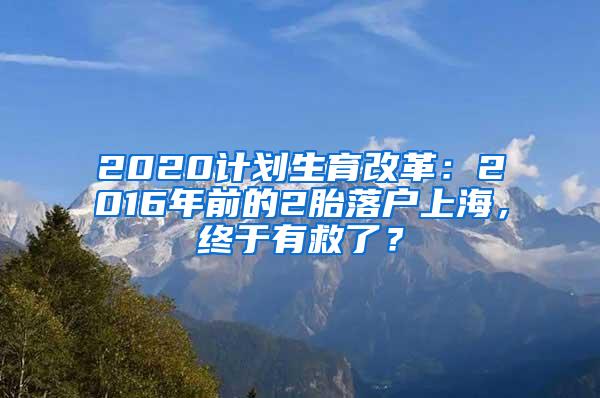 放松落户！上海突放王炸的背后……