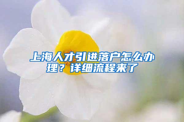 90后本科女生日本留学回国做保姆，月薪一万五，是保姆还是家教？