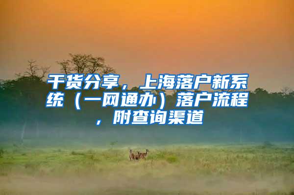 放宽缴纳社保家庭儿童入学条件……上海推出新生入学入园十项便民举措