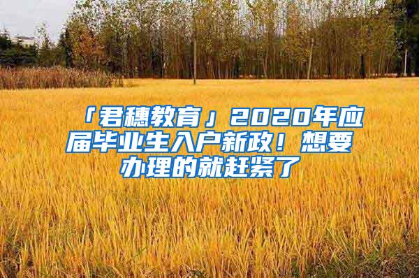 2019应届生入户深圳申报系统启动！本科人才补贴最高达三万！