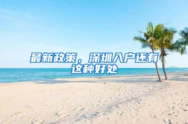 上海和深圳，哪里更适合“草根”毕业生打拼？过来人一语道破玄机