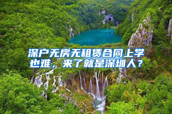 速看！最新最全2020学生资助政策来了，从幼儿园到研究生全都有