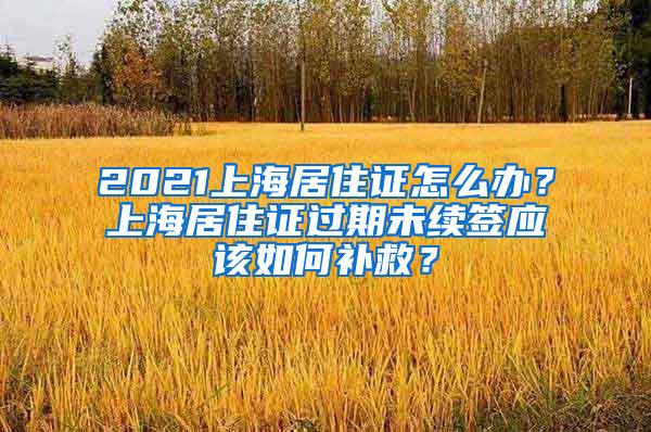 上海购车补贴政策细则发布，要求“购买非营运电动小客车”、“转让沪牌旧车”等