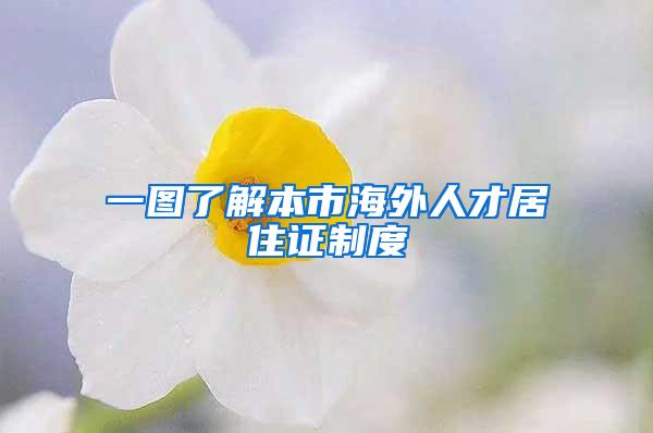 无业或灵活就业的非深户人员如何缴交社保