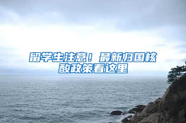 深圳市人大听取市政府关于《深圳经济特区居住证条例》实施情况的报告