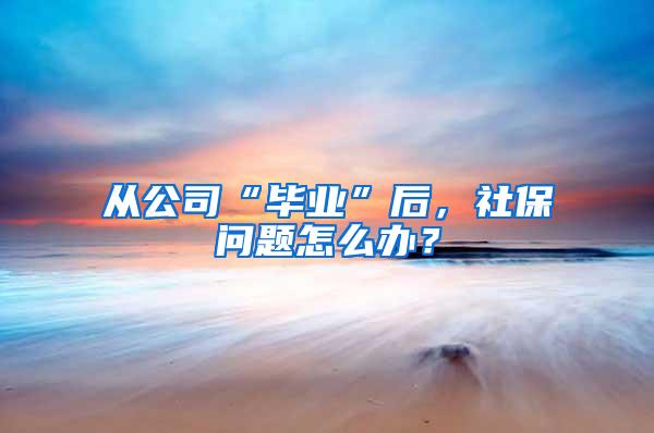 留学生回国应如何找工作？火爆的留学生内推究竟有何优势？