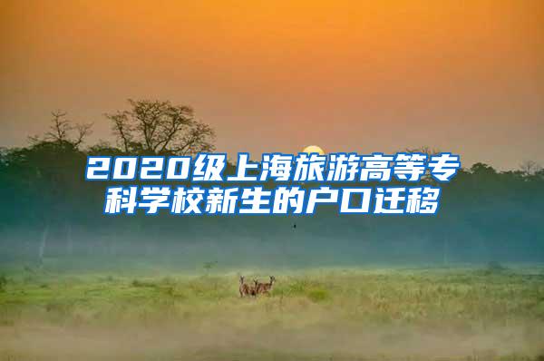 编辑上传视频2020年上海落户