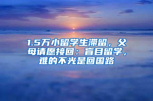 【2022留学落户上海】落户申请提交后，被退回原因汇总！多看一次长记性