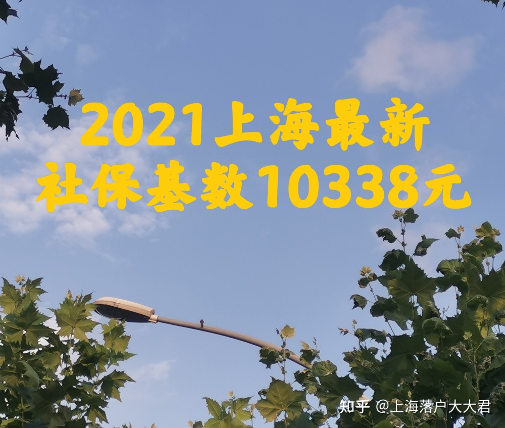 2020深圳在职人才引进全过程~个人经历分享