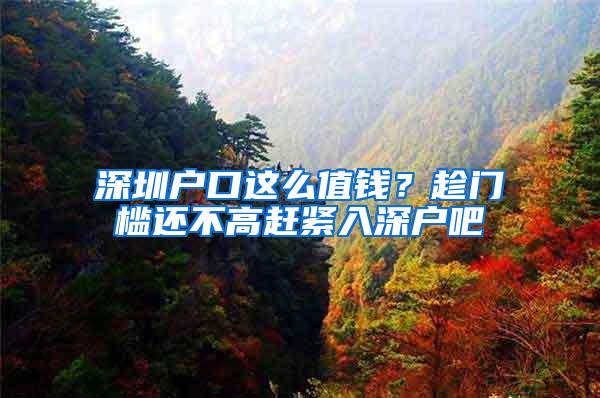 最高可领取10万？考研党的专属福利，研究生学历享有购房补贴