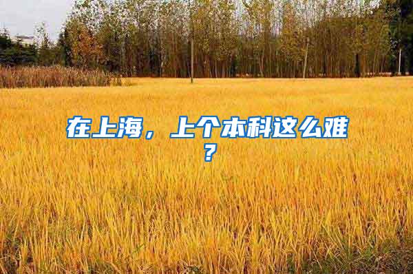 盘点北上广深居住证：哪里的居住证最难申请？