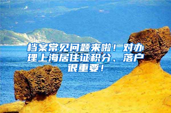 珠海恒隆集团副总裁苏枝谋。