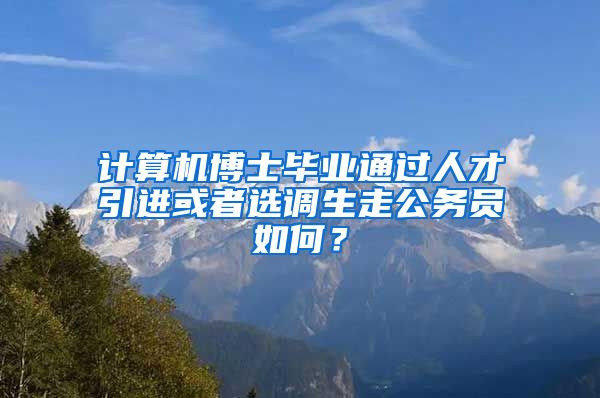 计算机博士毕业通过人才引进或者选调生走公务员如何？