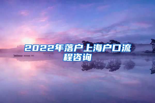 2022年落户上海户口流程咨询