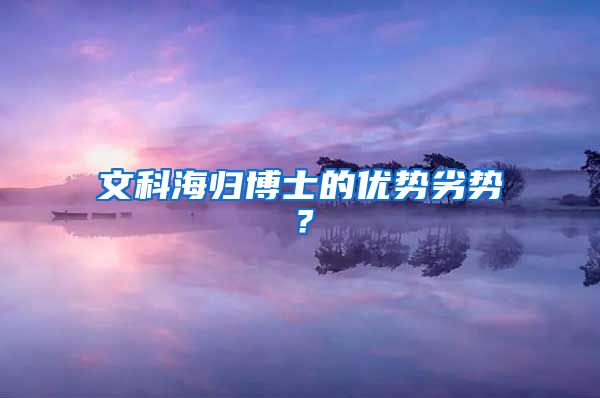 文科海归博士的优势劣势？