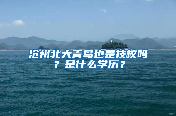 沧州北大青鸟也是技校吗？是什么学历？