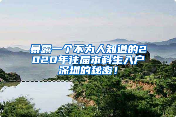 暴露一个不为人知道的2020年往届本科生入户深圳的秘密！