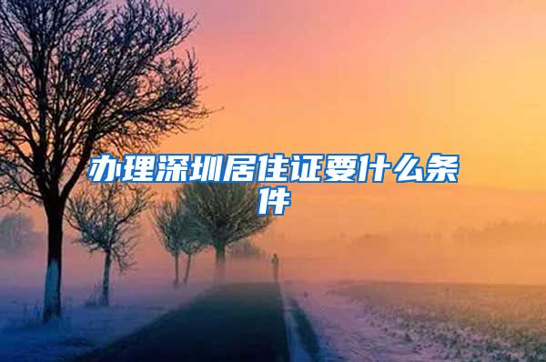 办理深圳居住证要什么条件