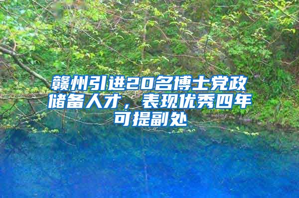 赣州引进20名博士党政储备人才，表现优秀四年可提副处