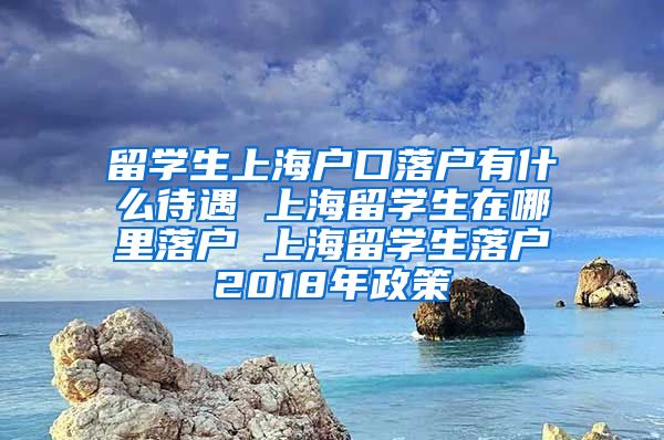 留学生上海户口落户有什么待遇 上海留学生在哪里落户 上海留学生落户2018年政策