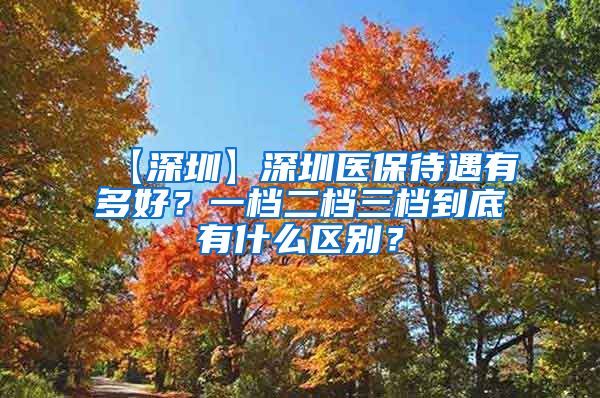 【深圳】深圳医保待遇有多好？一档二档三档到底有什么区别？