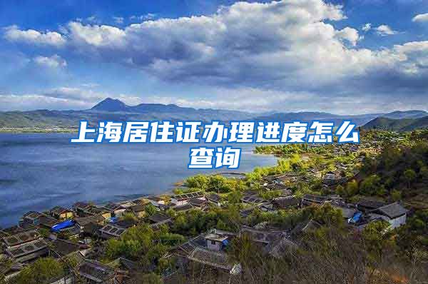 上海居住证办理进度怎么查询