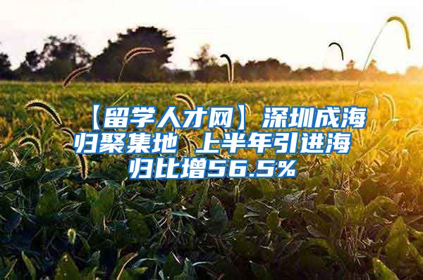 【留学人才网】深圳成海归聚集地 上半年引进海归比增56.5%