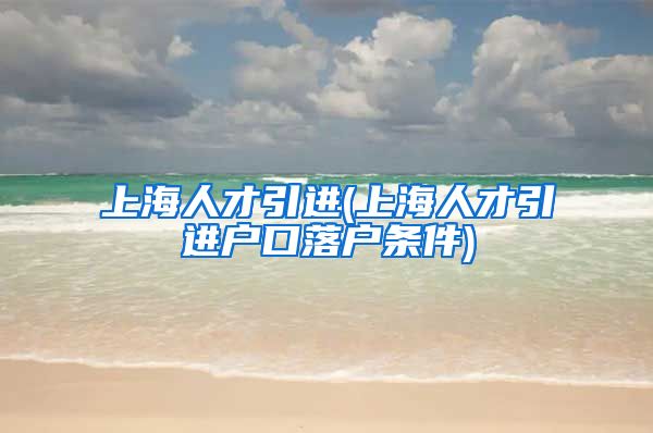 上海人才引进(上海人才引进户口落户条件)