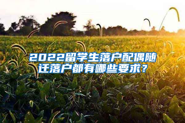 2022留学生落户配偶随迁落户都有哪些要求？