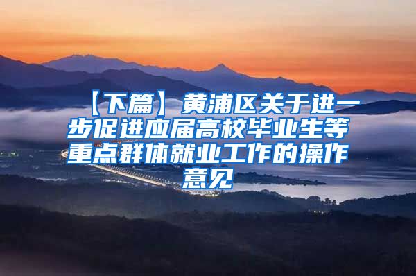 【下篇】黄浦区关于进一步促进应届高校毕业生等重点群体就业工作的操作意见