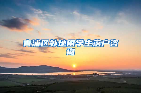 青浦区外地留学生落户咨询