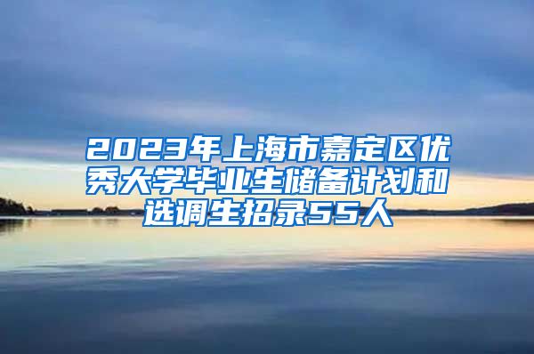 2023年上海市嘉定区优秀大学毕业生储备计划和选调生招录55人