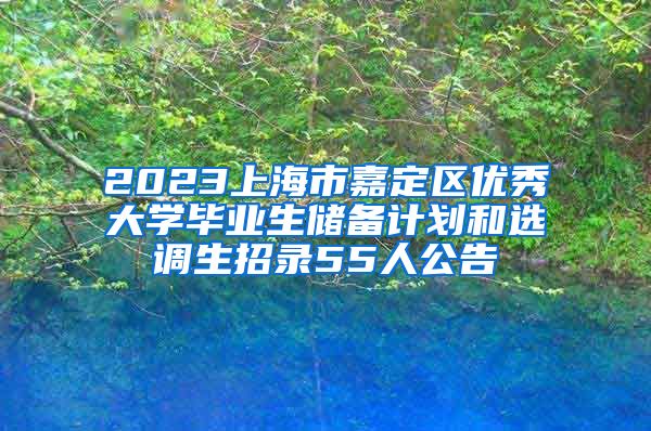 2023上海市嘉定区优秀大学毕业生储备计划和选调生招录55人公告