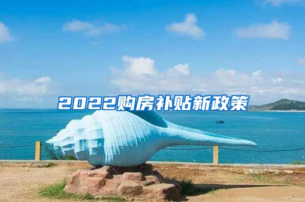 2022购房补贴新政策