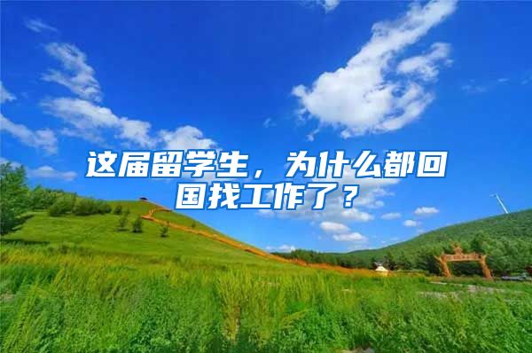 这届留学生，为什么都回国找工作了？