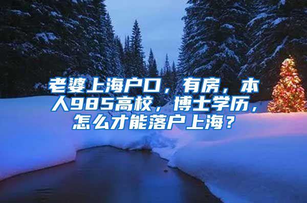 老婆上海户口，有房，本人985高校，博士学历，怎么才能落户上海？