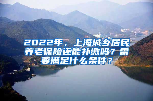 2022年，上海城乡居民养老保险还能补缴吗？需要满足什么条件？