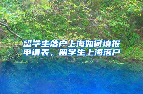 留学生落户上海如何填报申请表，留学生上海落户