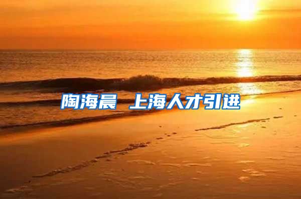 陶海晨 上海人才引进