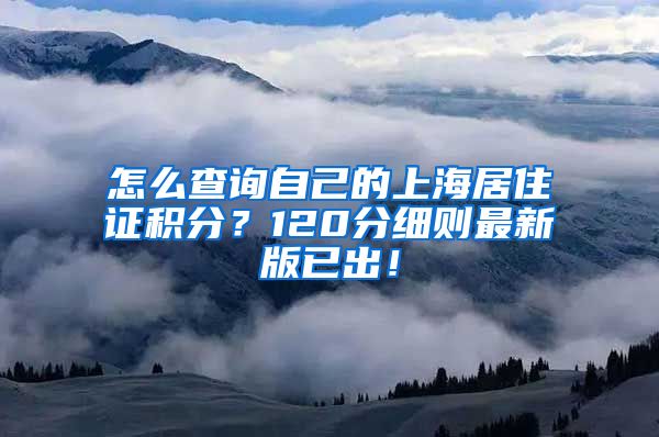 怎么查询自己的上海居住证积分？120分细则最新版已出！