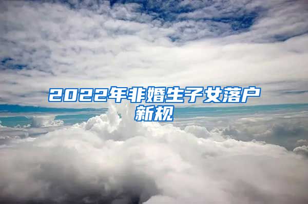 2022年非婚生子女落户新规