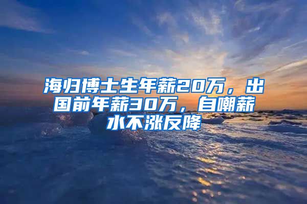 海归博士生年薪20万，出国前年薪30万，自嘲薪水不涨反降