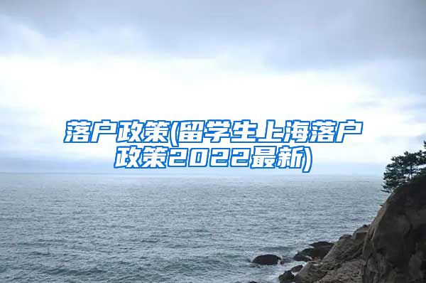 落户政策(留学生上海落户政策2022最新)