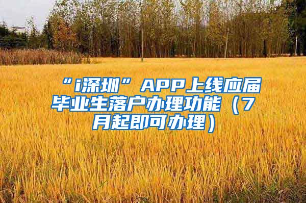 “i深圳”APP上线应届毕业生落户办理功能（7月起即可办理）