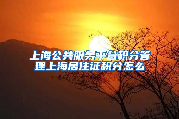 上海公共服务平台积分管理上海居住证积分怎么