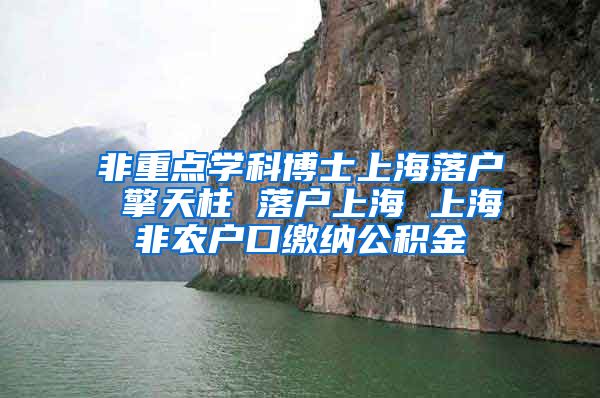 非重点学科博士上海落户 擎天柱 落户上海 上海非农户口缴纳公积金